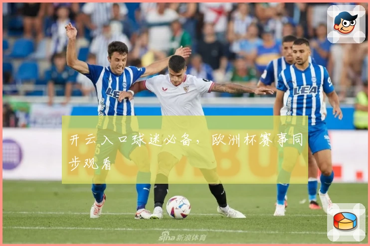 开云入口球迷必备，欧洲杯赛事同步观看