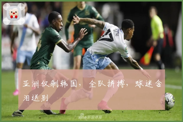 亚洲仅剩韩国，全队拼搏，球迷含泪送别