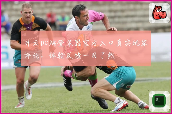 开云pc端登录器官方入口真实玩家评论，体验反馈一目了然