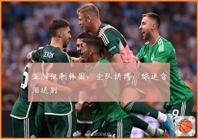 亚洲仅剩韩国，全队拼搏，球迷含泪送别