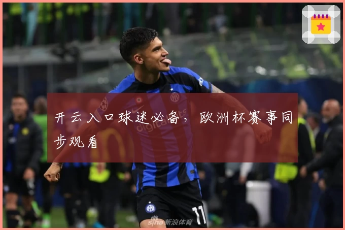 开云入口球迷必备，欧洲杯赛事同步观看